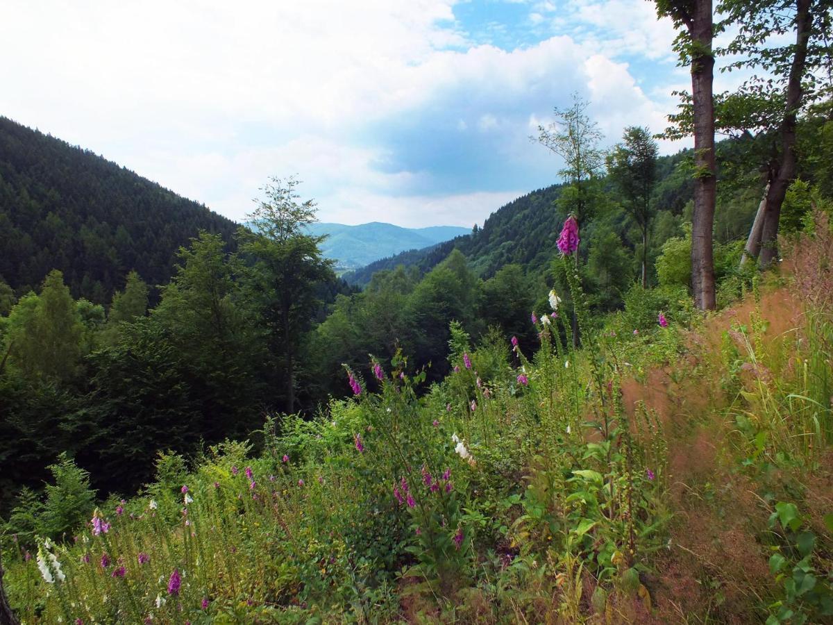 Chata Udolicko Villa Perštejn Buitenkant foto